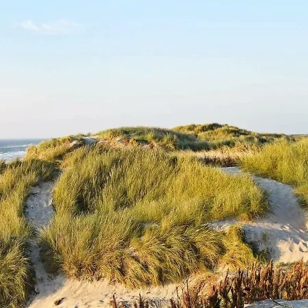 6 Person In Hvide Sande-by Traum *