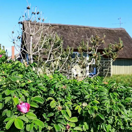 度假居 6 Person In Hvide Sande-by Traum *