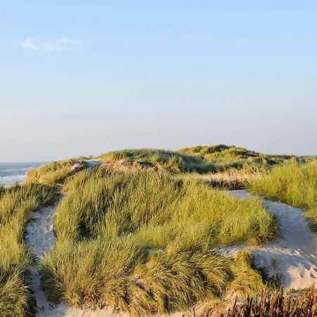 度假居 6 Person In Hvide Sande-by Traum