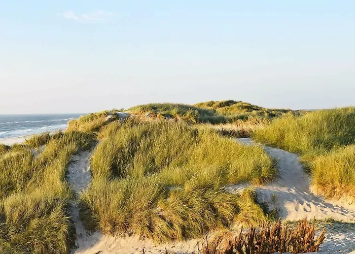 6 Person In Hvide Sande-by Traum *